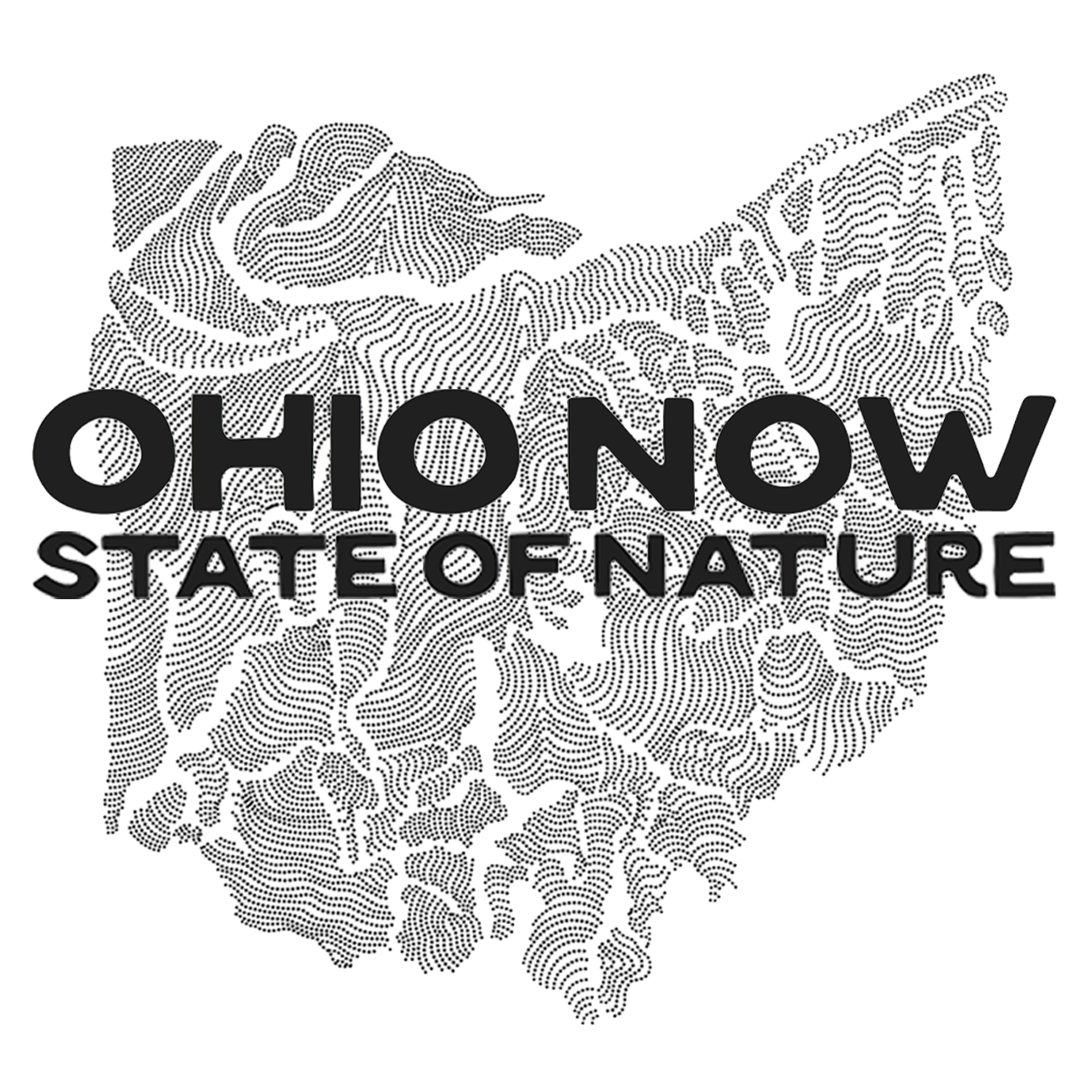 Ohio Now Opening Reception - logo